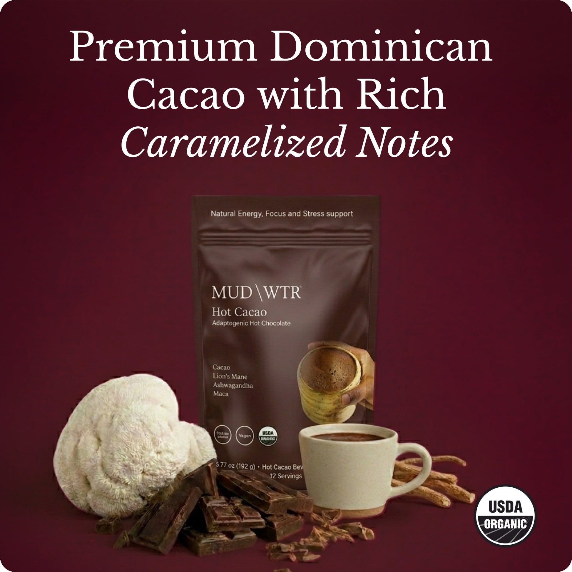 hot-chocolate-f4 Hot_Chocolate_Image_01.jpg