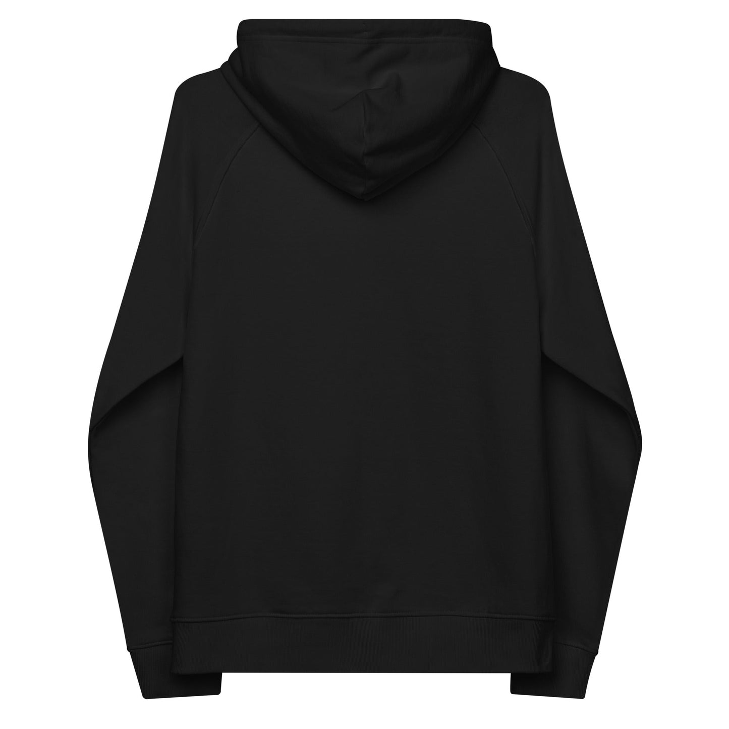 unlearn-relearn-hoodie-c6 unisex-eco-raglan-hoodie-black-back-647547b169f25.jpg
