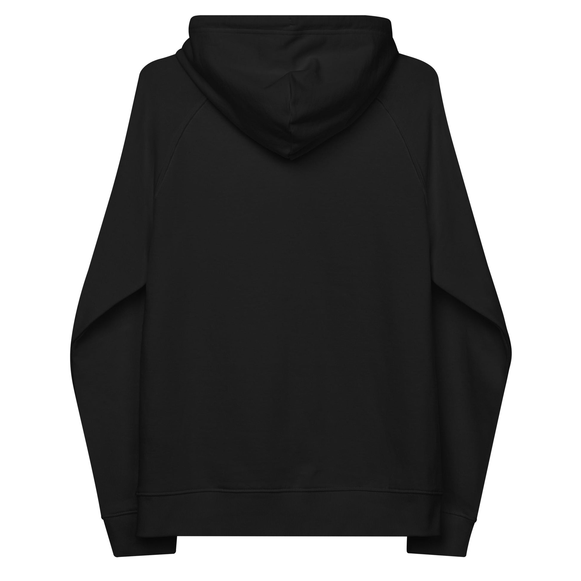 unlearn-relearn-hoodie-c6 unisex-eco-raglan-hoodie-black-back-647547b169f25.jpg